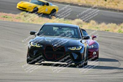 media/Mar-22-2025-West Coast Racing (Sat) [[0d49b412c8]]/Blue Group/Session 1 (Turn 4-Exterior)/